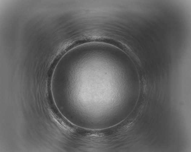 X0000076430447200610161157