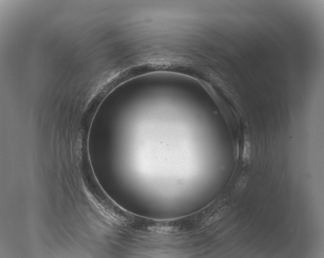 X0000076430448200610161157