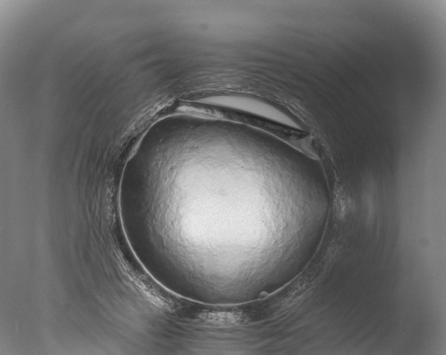 X0000076430449200610161157