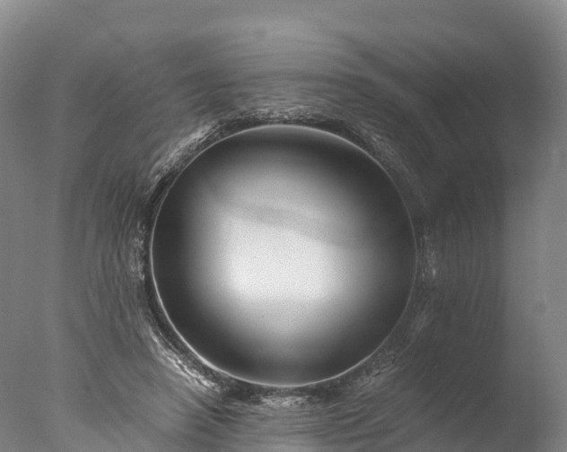 X0000076430450200610161157