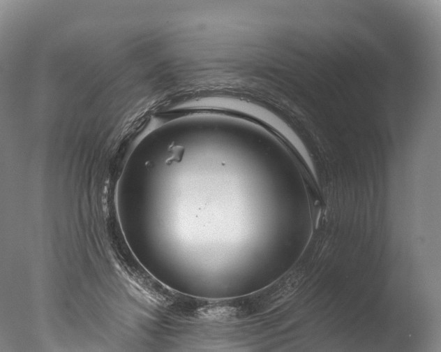 X0000076430452200610161157