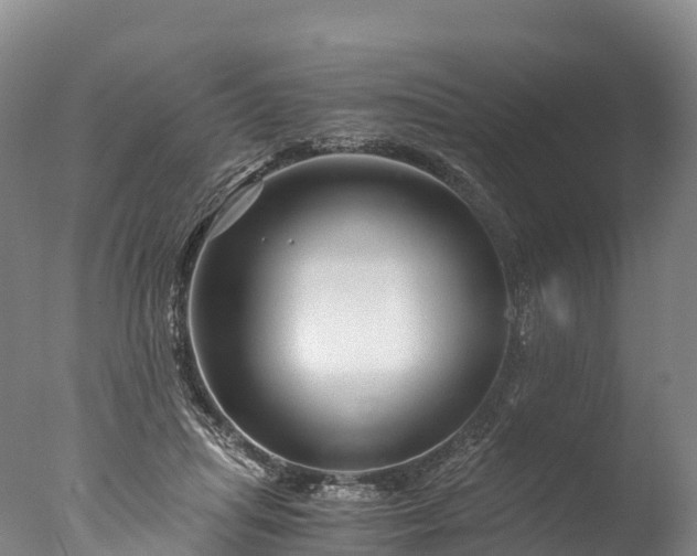 X0000076430455200610161157