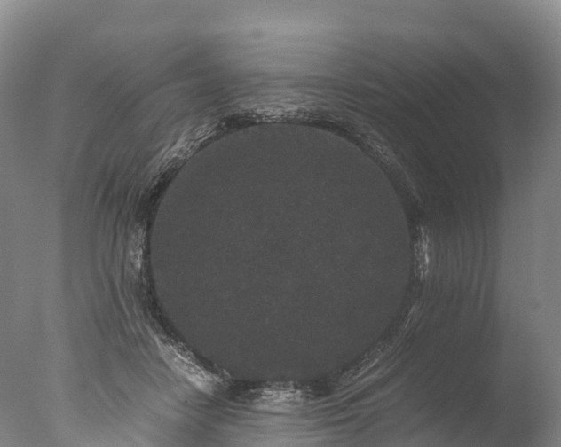 X0000076430458200610161157