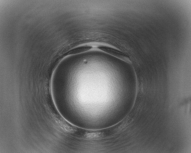 X0000076430461200610161157