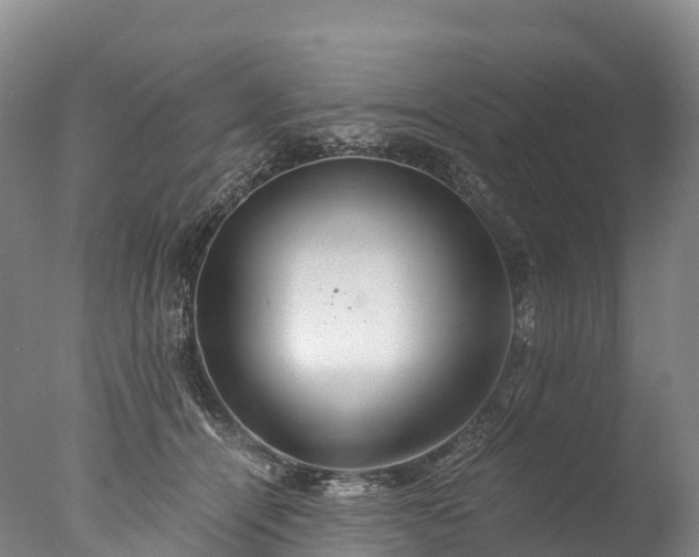 X0000076430464200610161157