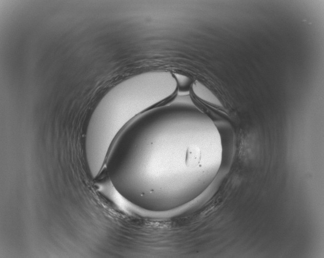 X0000076430469200610161157