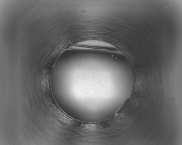 X0000076430473200610161157