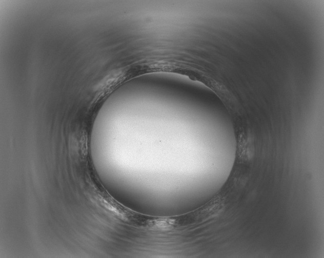 X0000076430474200610161157