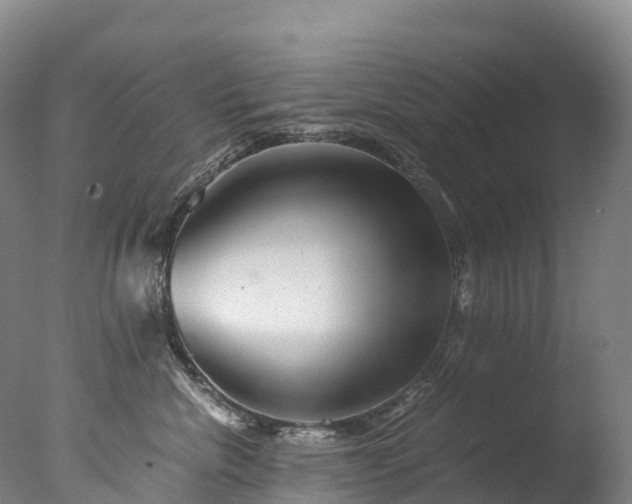 X0000076430476200610161157