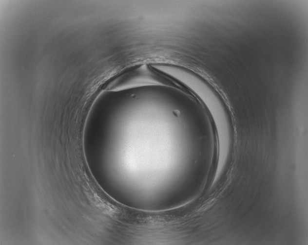 X0000076430481200610161156