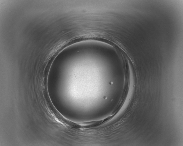 X0000076430485200610161156