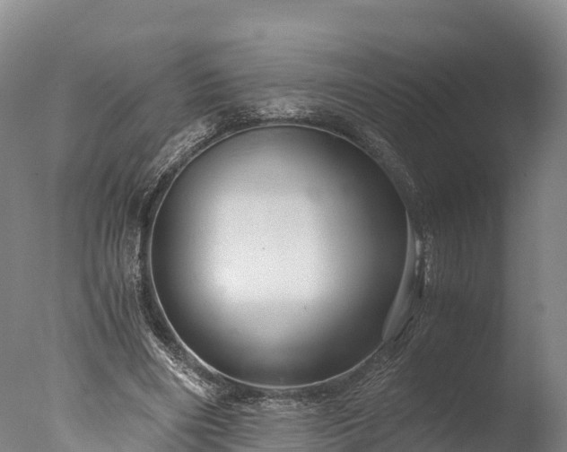 X0000076430490200610161156