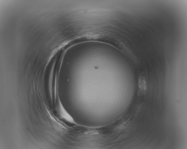 X0000076430492200610161156