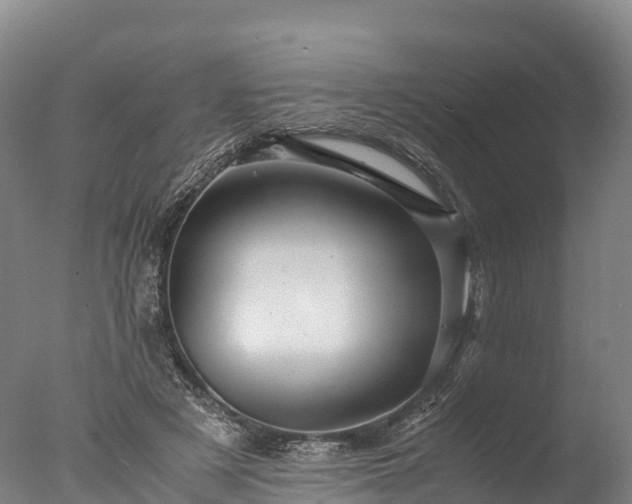X0000076430497200610161156