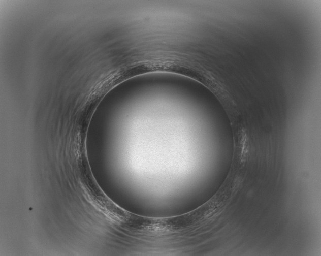 X0000076430498200610161156