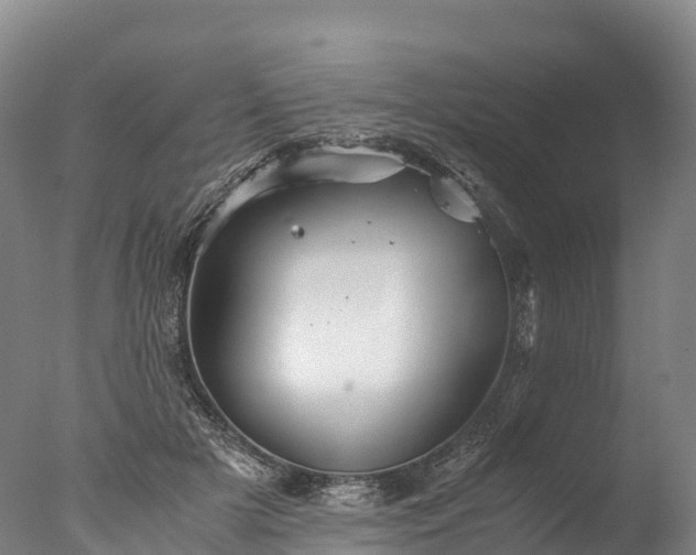 X0000076430505200610161156
