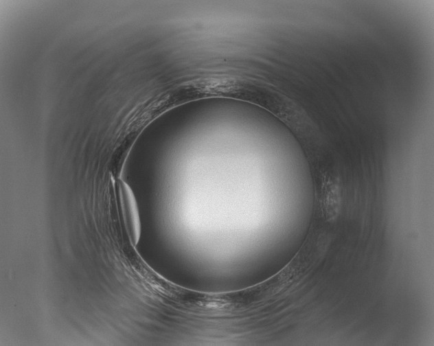 X0000076430506200610161156