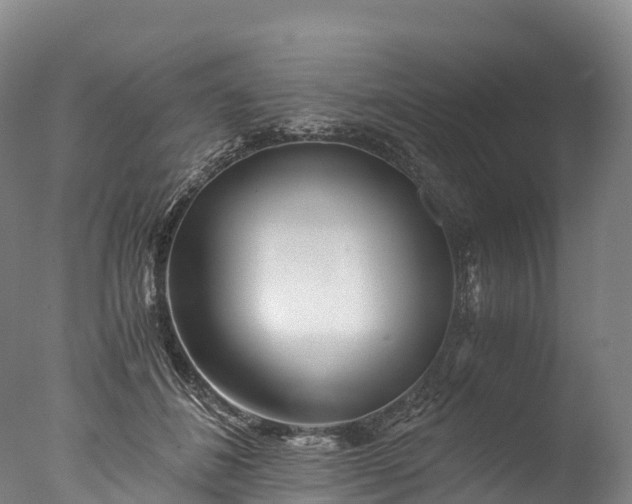X0000076430508200610161156