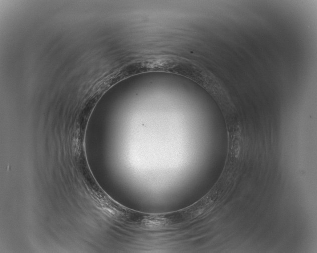 X0000076430510200610161156