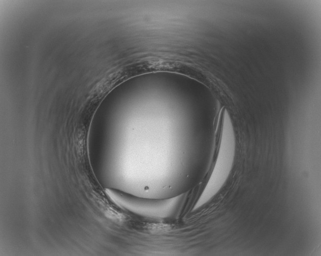 X0000076430513200610161156