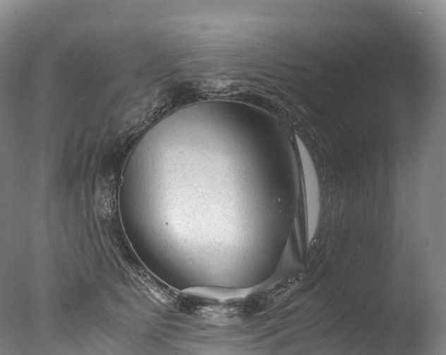 X0000076430515200610161156