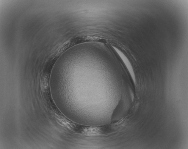 X0000076430517200610161156