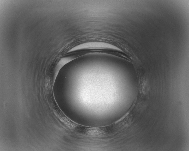 X0000076430521200610161156