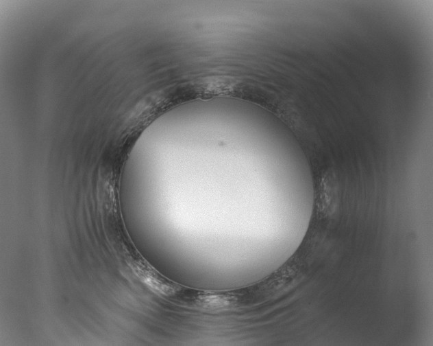 X0000076430522200610161156