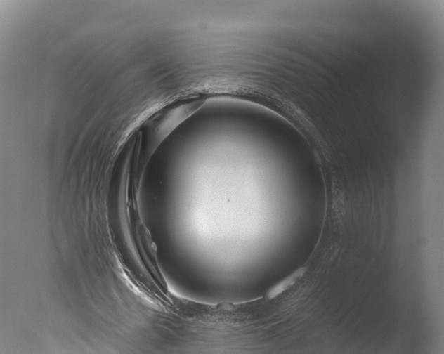 X0000076430530200610161155