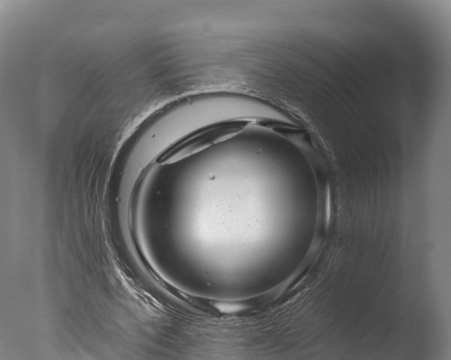 X0000076430532200610161155
