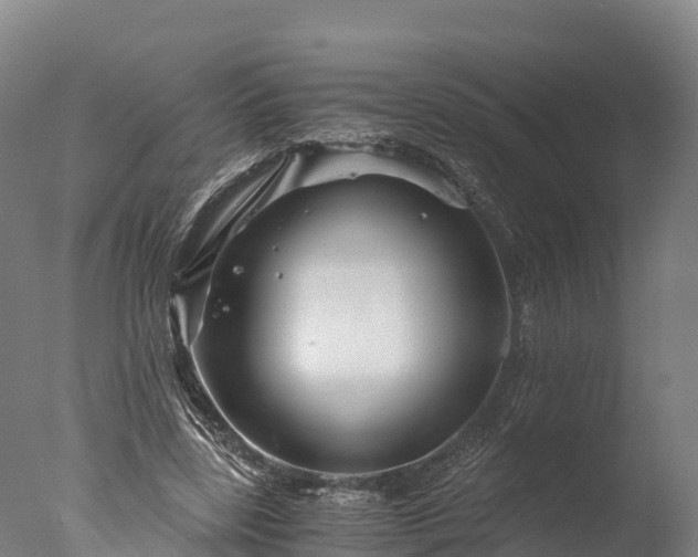 X0000076430539200610161155