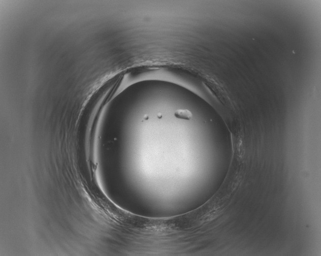 X0000076430540200610161155