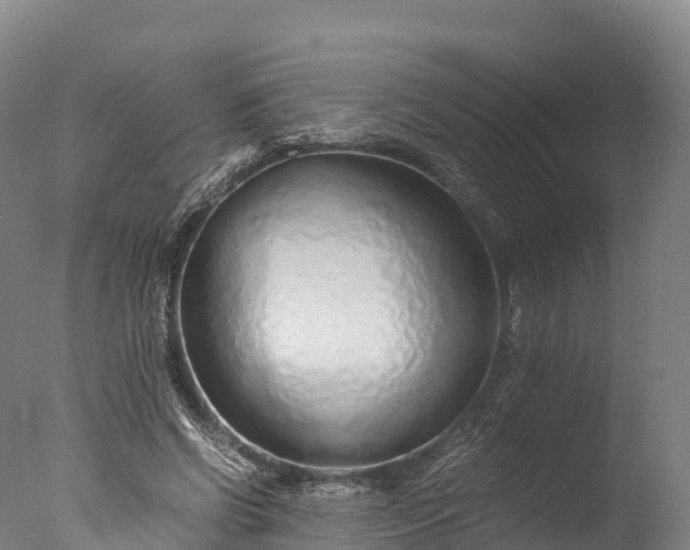 X0000076430542200610161155