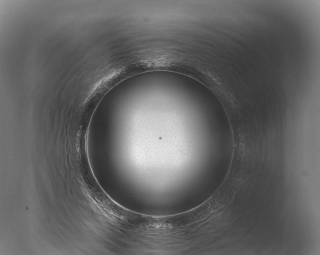 X0000076430543200610161155