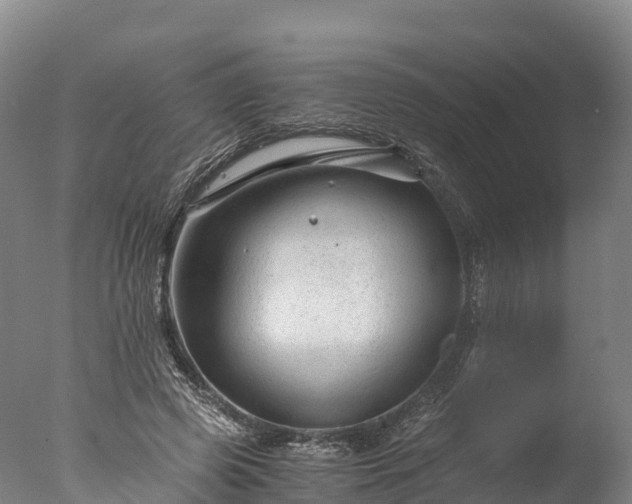 X0000076430545200610161155