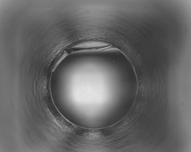 X0000076430548200610161155