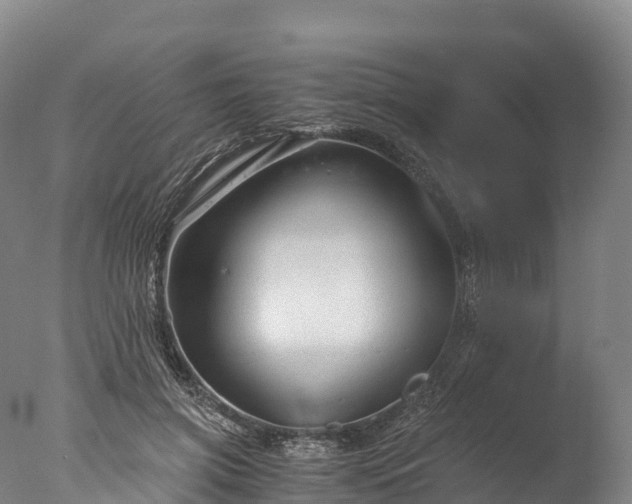 X0000076430549200610161155