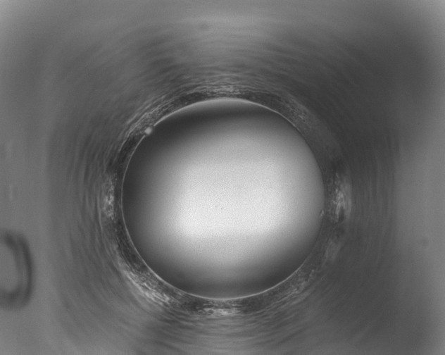 X0000076430552200610161155