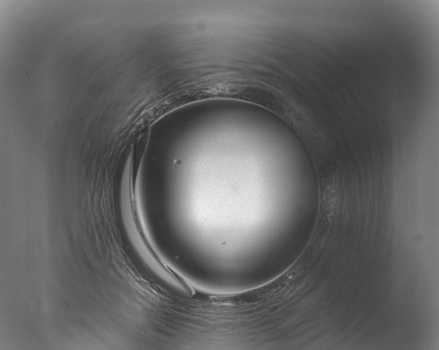 X0000076430554200610161155