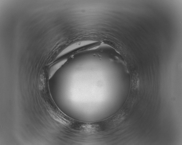 X0000076430558200610161155