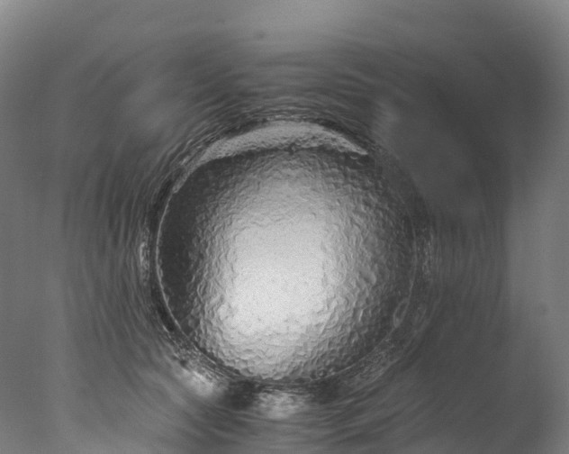 X0000076430561200610161155
