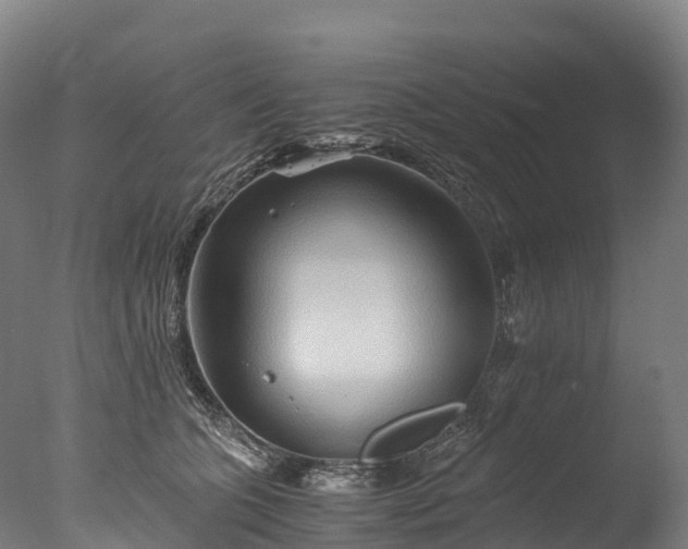 X0000076430563200610161155