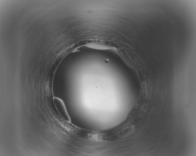 X0000076430564200610161155