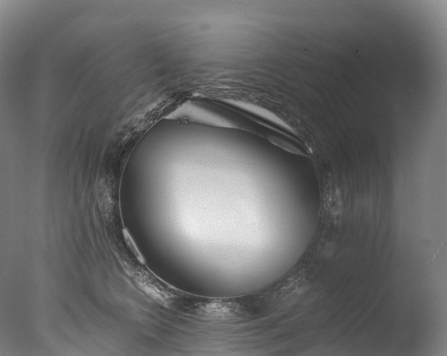 X0000076430566200610161155