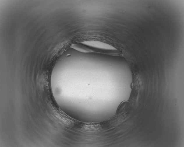 X0000076430571200610161155