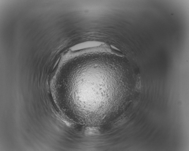 X0000076430573200610161155