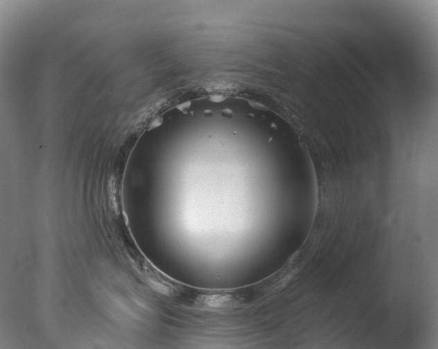 X0000076430575200610161156