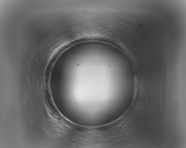 X0000076430583200610161155