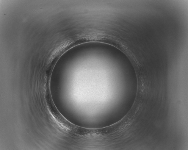 X0000076430586200610161155