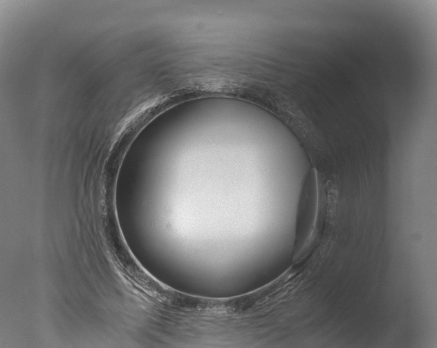 X0000076430587200610161155